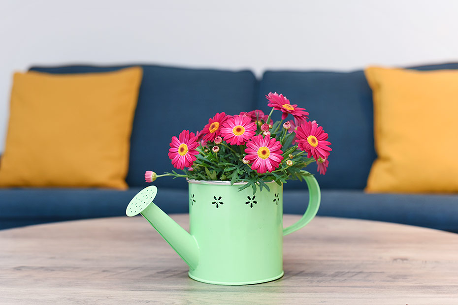 Ferienwohnung „Wattgeflüster“ - Wohnzimmer mit integriertem Küchenbereich